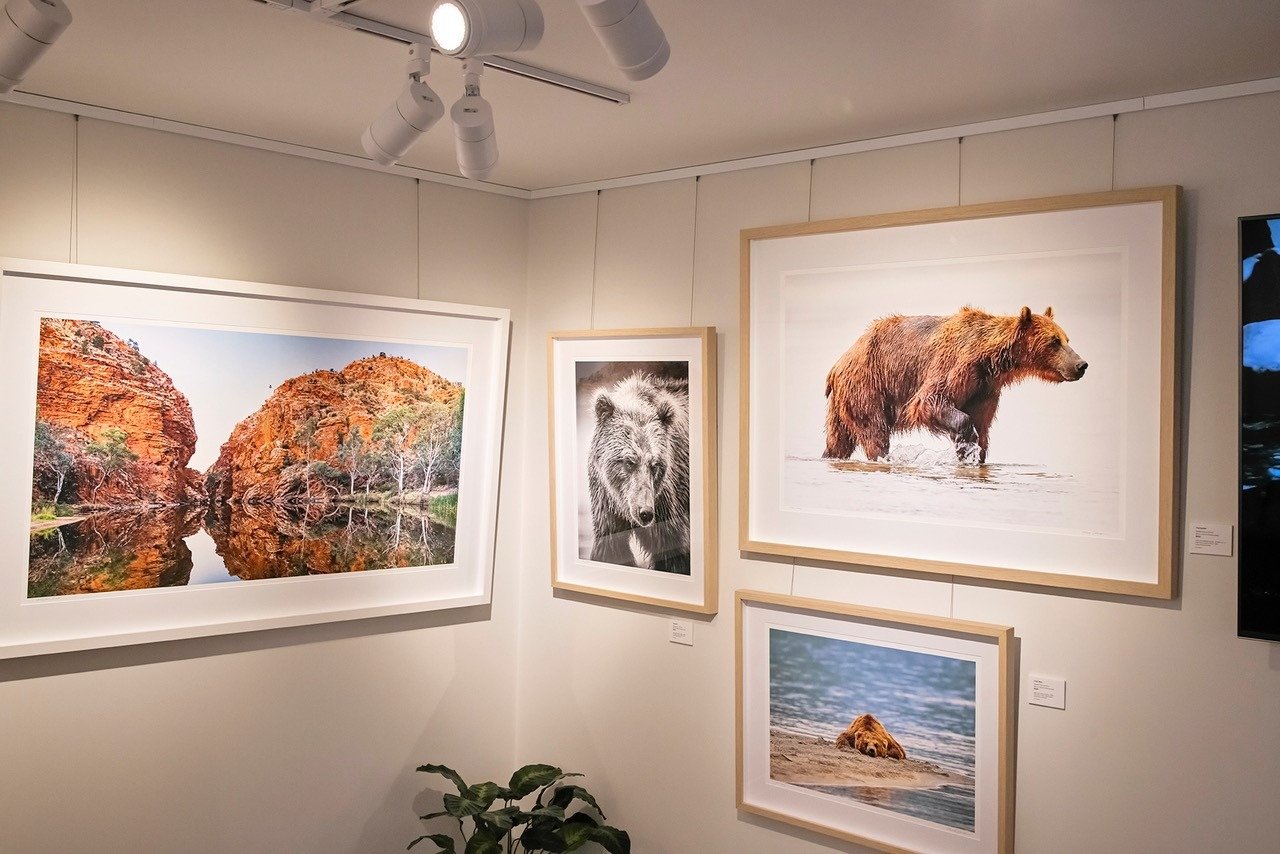 Gallery 5 Wayne Sorensen Photography 5
